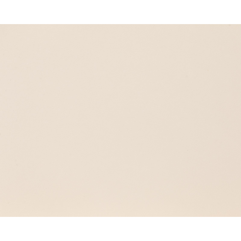 Panneau de meuble Biscuit 120 x 40 x 1,8 cm CANDO