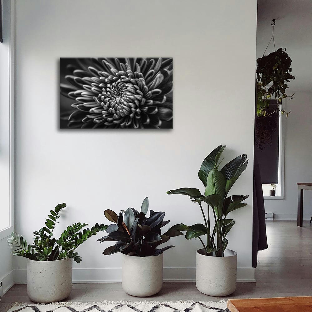 - Tableau impression sur toile pétales charnus 60x90cm