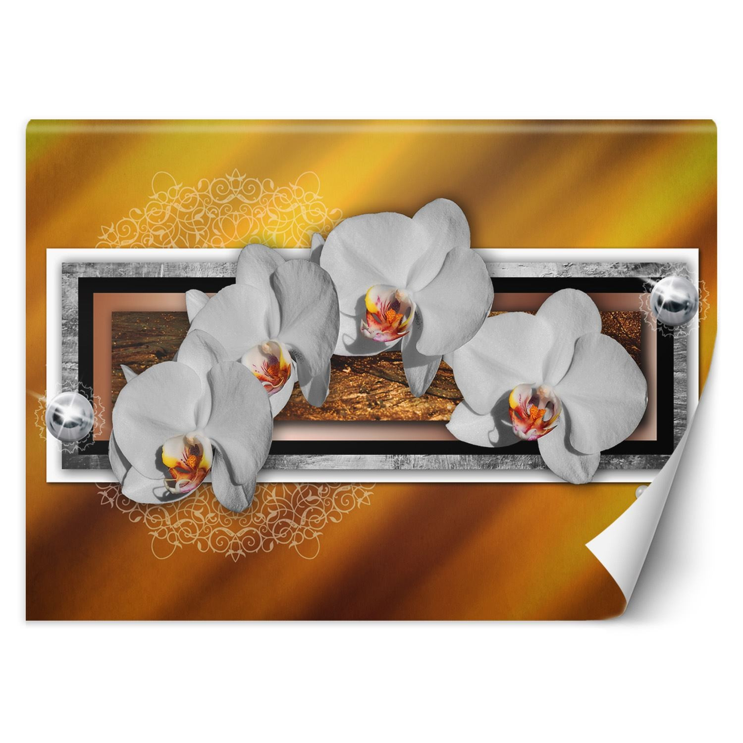 Feeby Fototapeta, Geometria i orchidea 150x105
