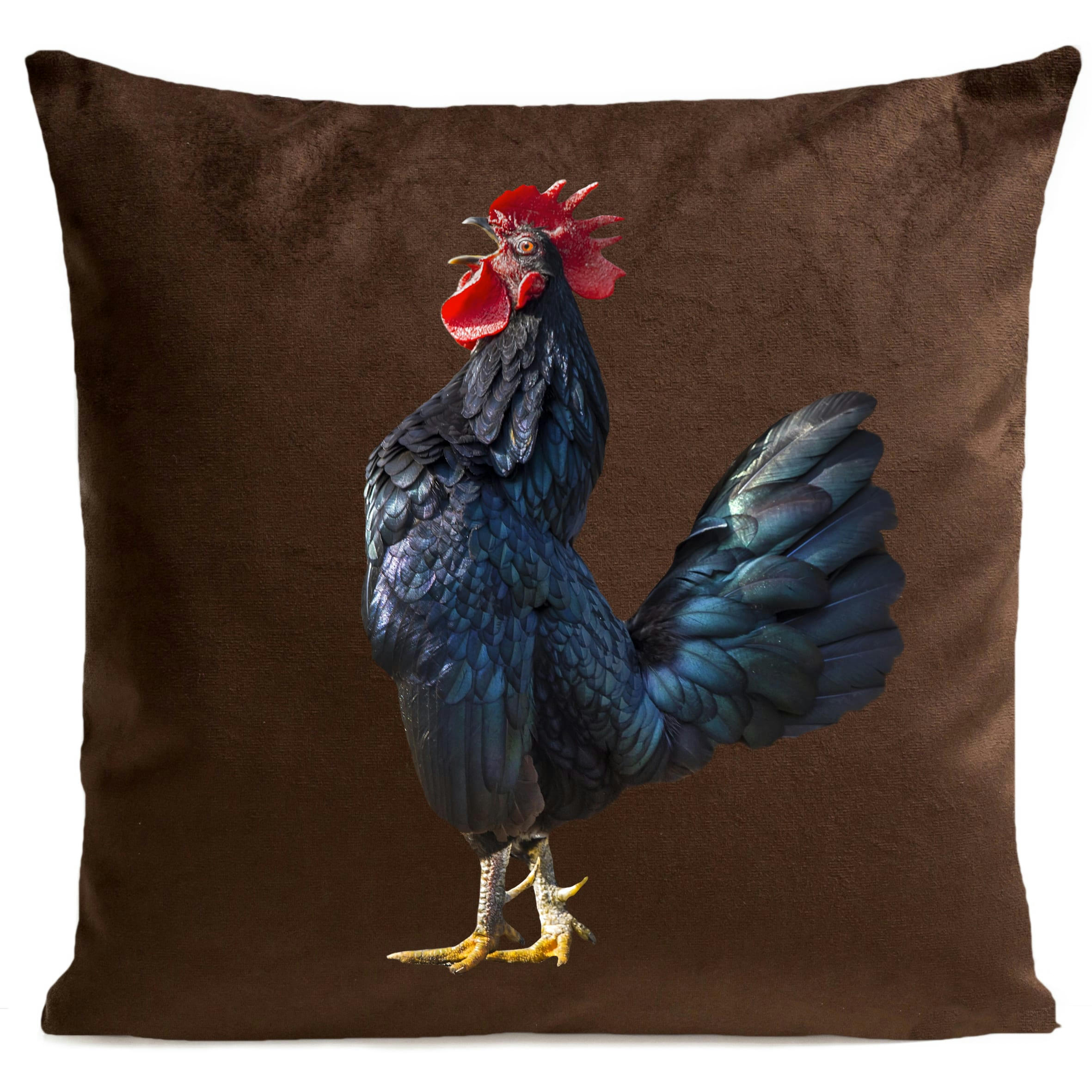 - Coussin campagne coq  suédine marron 40x40cm
