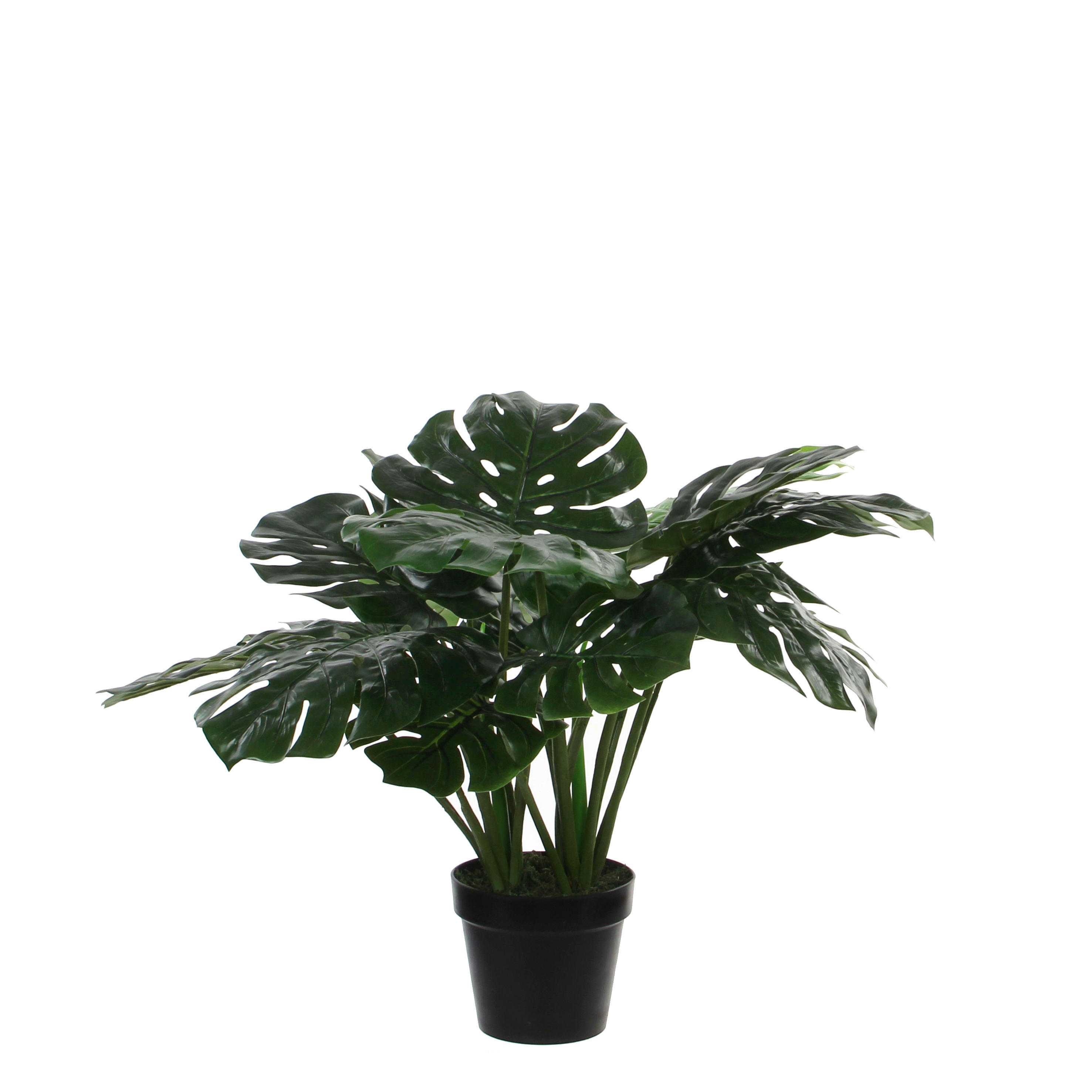 - Monstera artificielle en pot H50