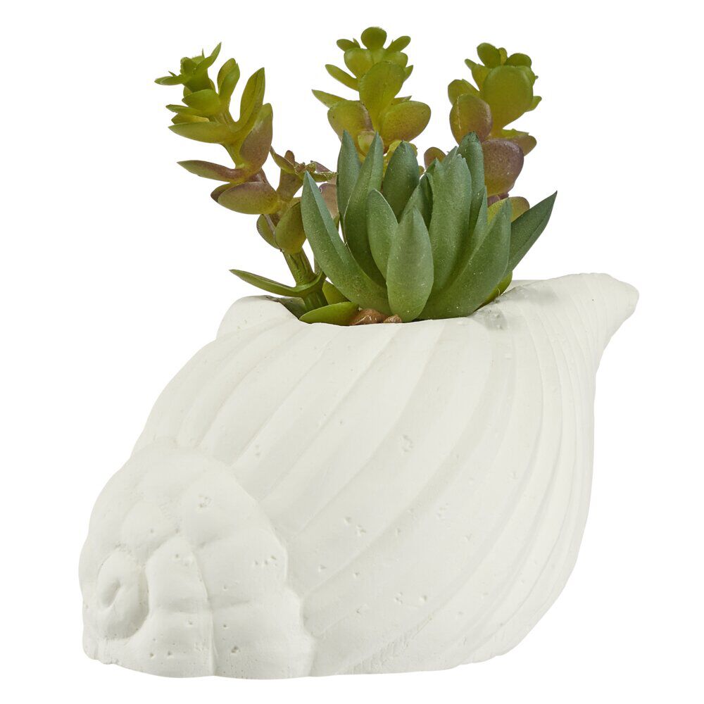 Plante grasse artificielle pot ciment forme coquillage blanc H15,5cm (2 modèles)