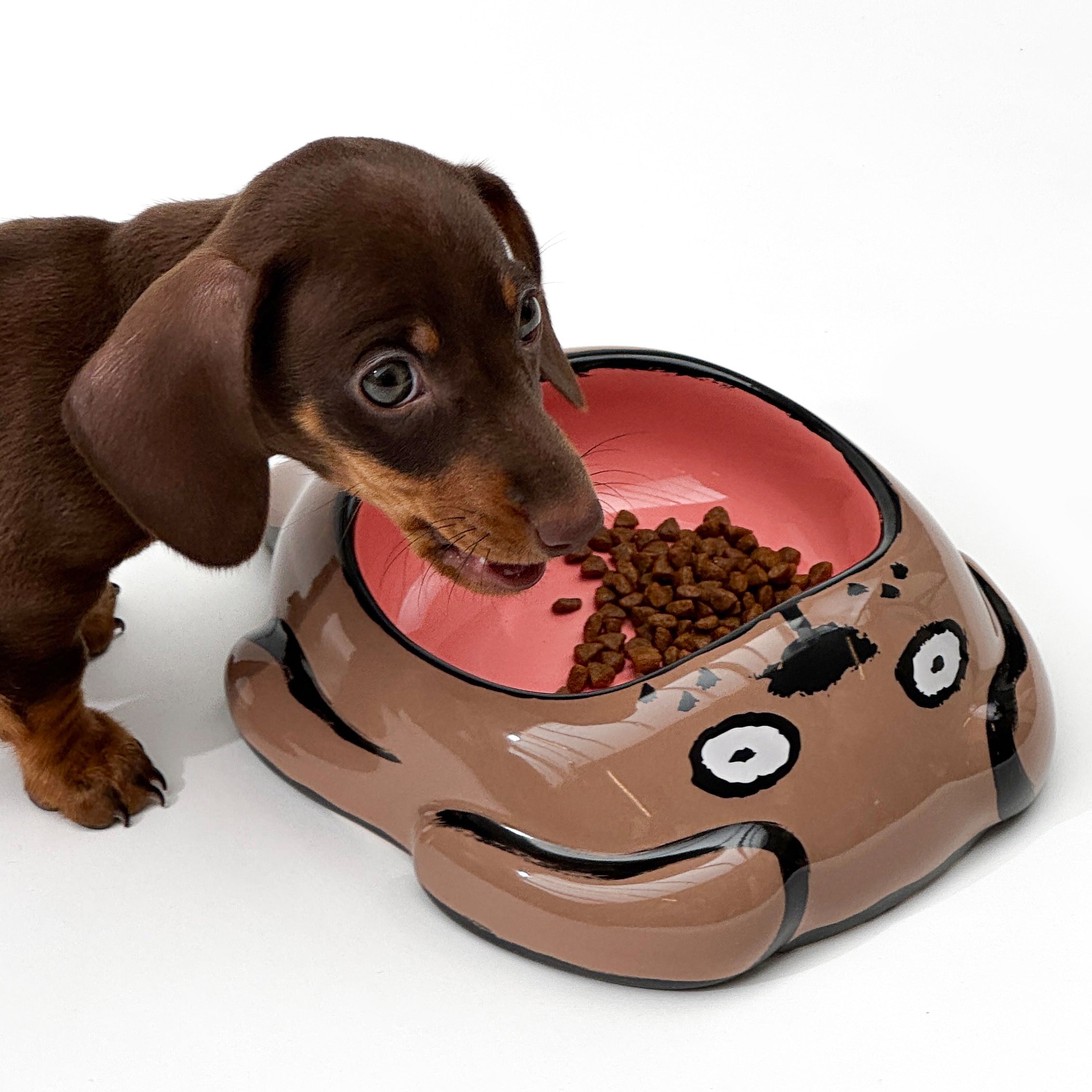 Home Studyo Jean Jullien Voerbak - Hond