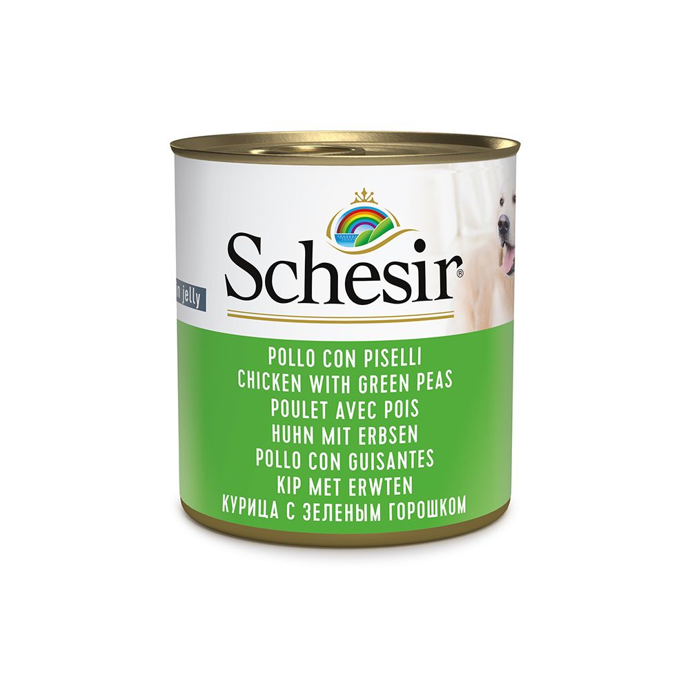 Schesir Saver Pack 12 x 285g
