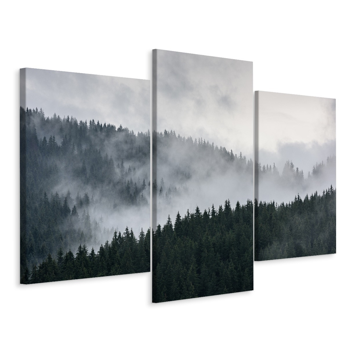 Obraz Tryptyk Zamglony LAS Widok 3D 60x40cm