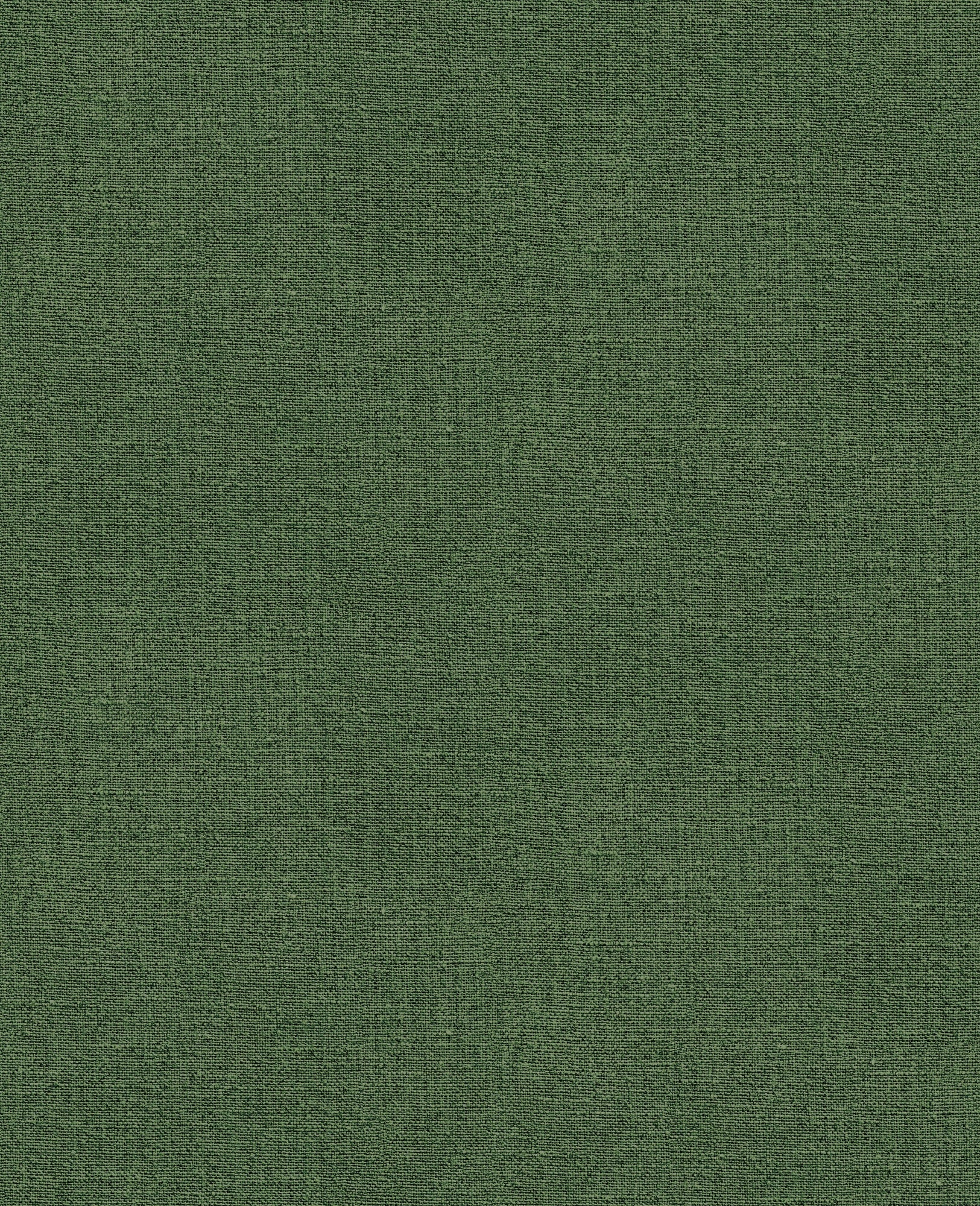 Graham & Brown Vliesbehang Haptic Green