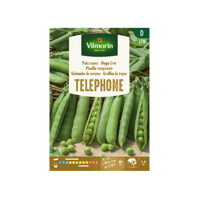 Semences de pois à rames Telephone 150 g VILMORIN
