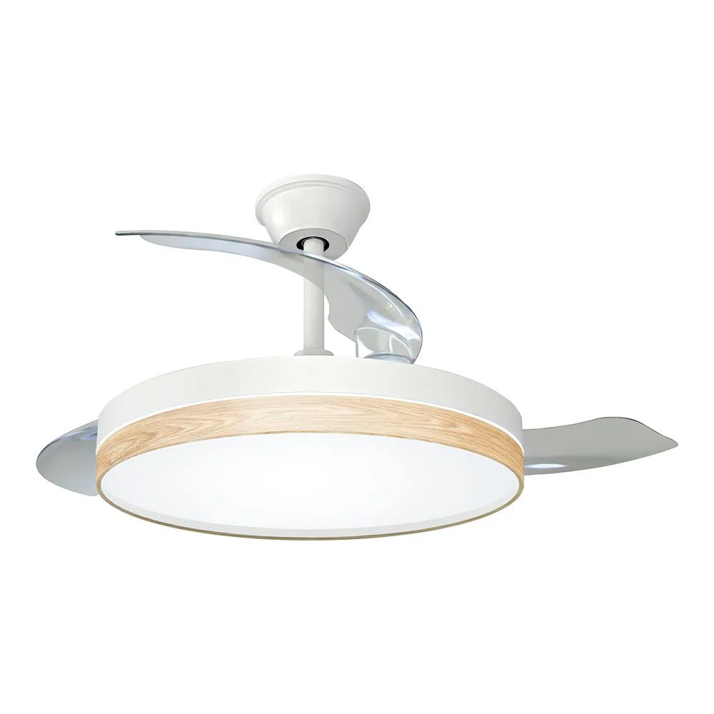 Edm Ceiling fan