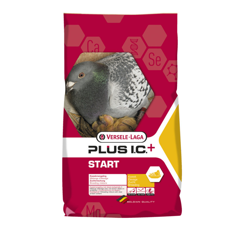 Mélange complet d'élevage pour pigeon Start 20 kg