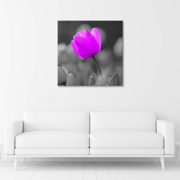 Feeby Obraz na płótnie Fioletowy tulipan 30x30