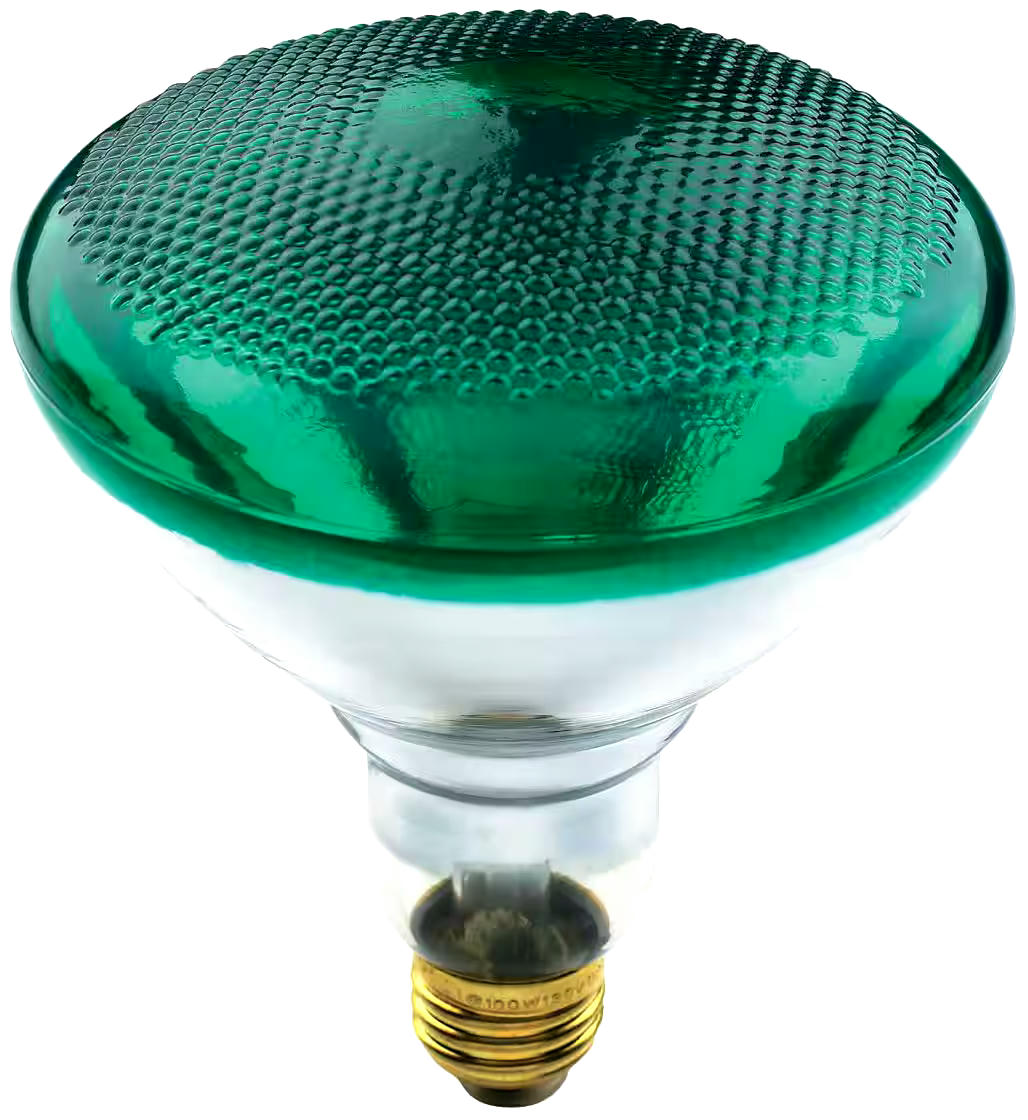 NOMA BR38 E26 Base Dimmable Incandescent Flood Light Bulb, Green, 100W