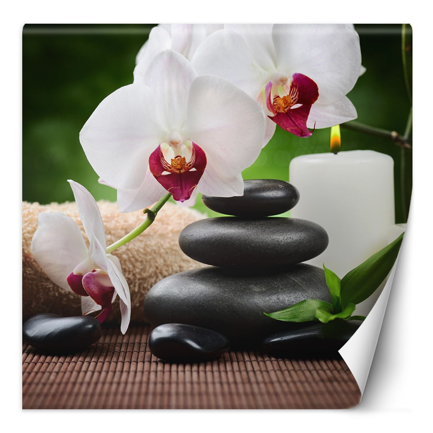 Feeby Fototapeta, Orchidea świeczka i kamienie zen w SPA 100x100