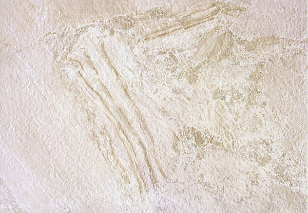 carrelage PERUGIA BEIGE 45x65 cmimitation pierre