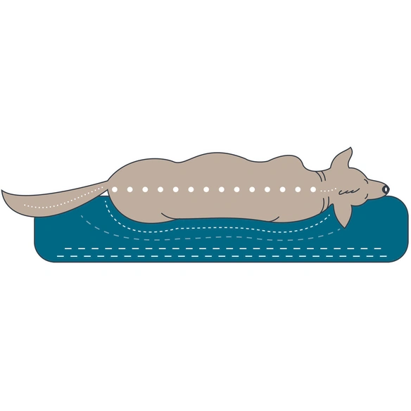 Hunde-Sofa, BxHxL: 60 x 30 x 80 cm, anthrazit
