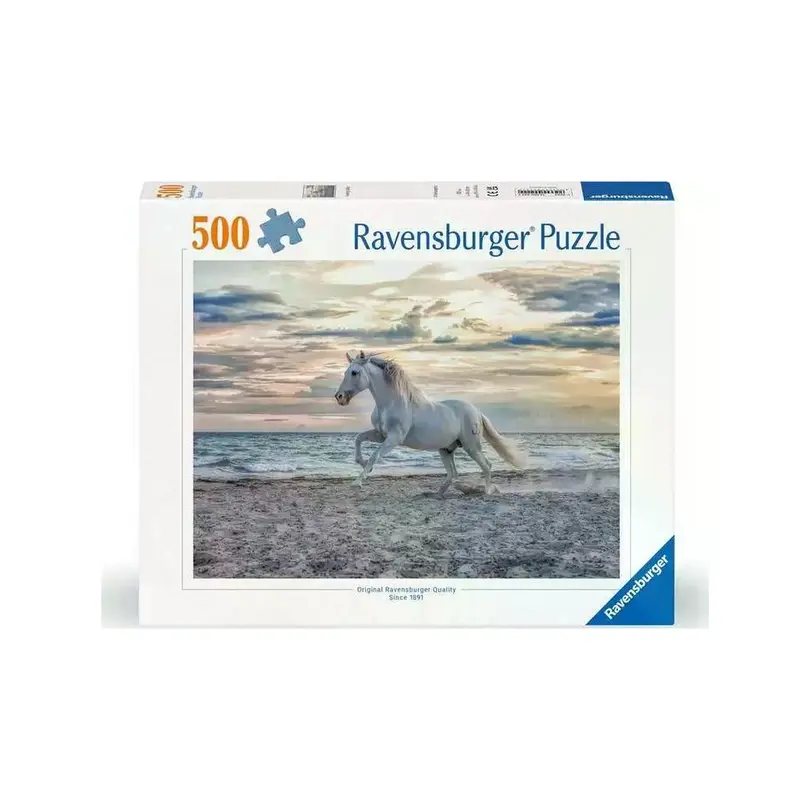 Puzzle Pferd am Strand