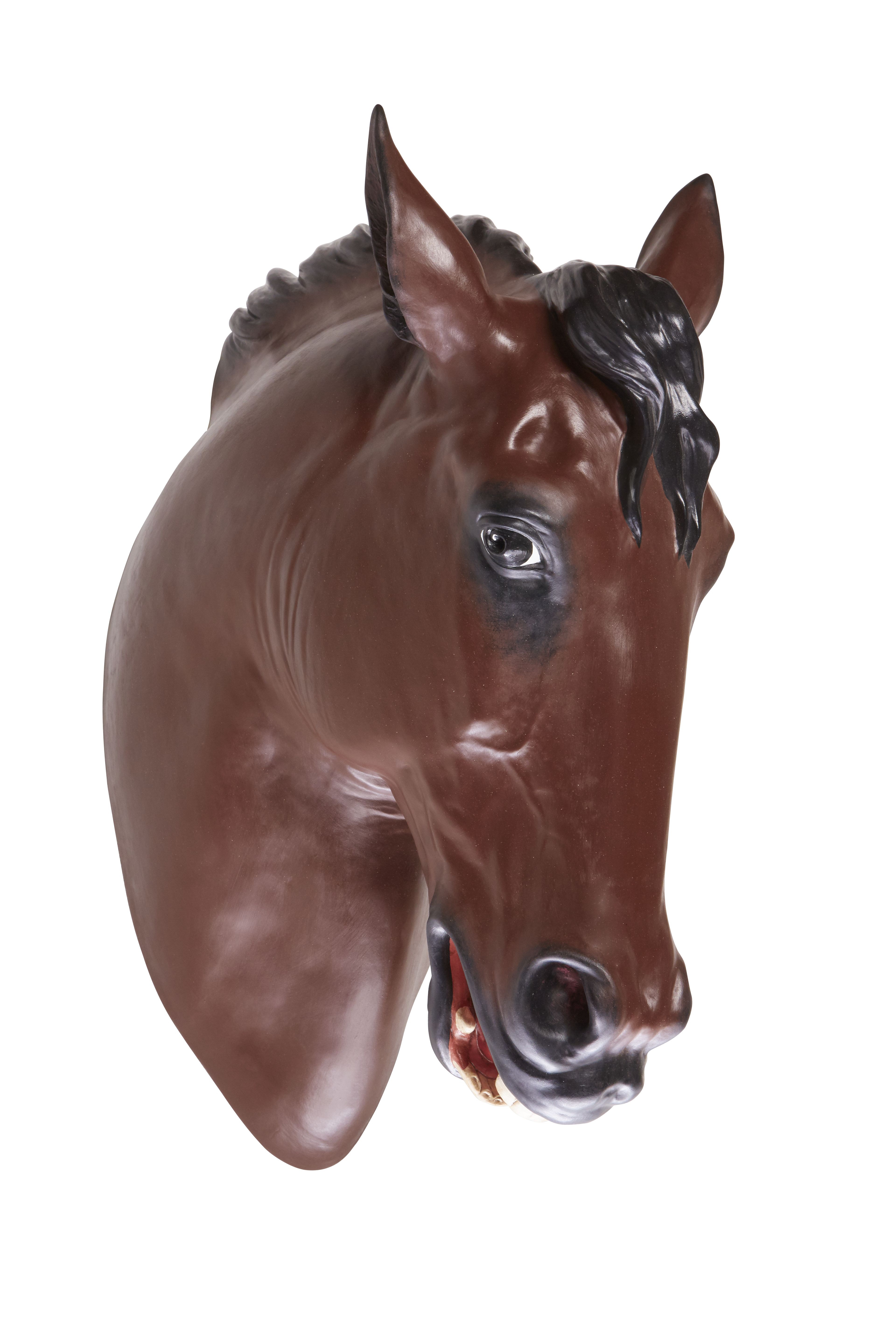Cabeça Cavalo