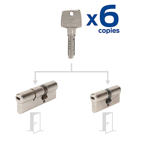 2 Cylindres débrayables Bricard 35x55/ 30x30 mm avec 6 clés
