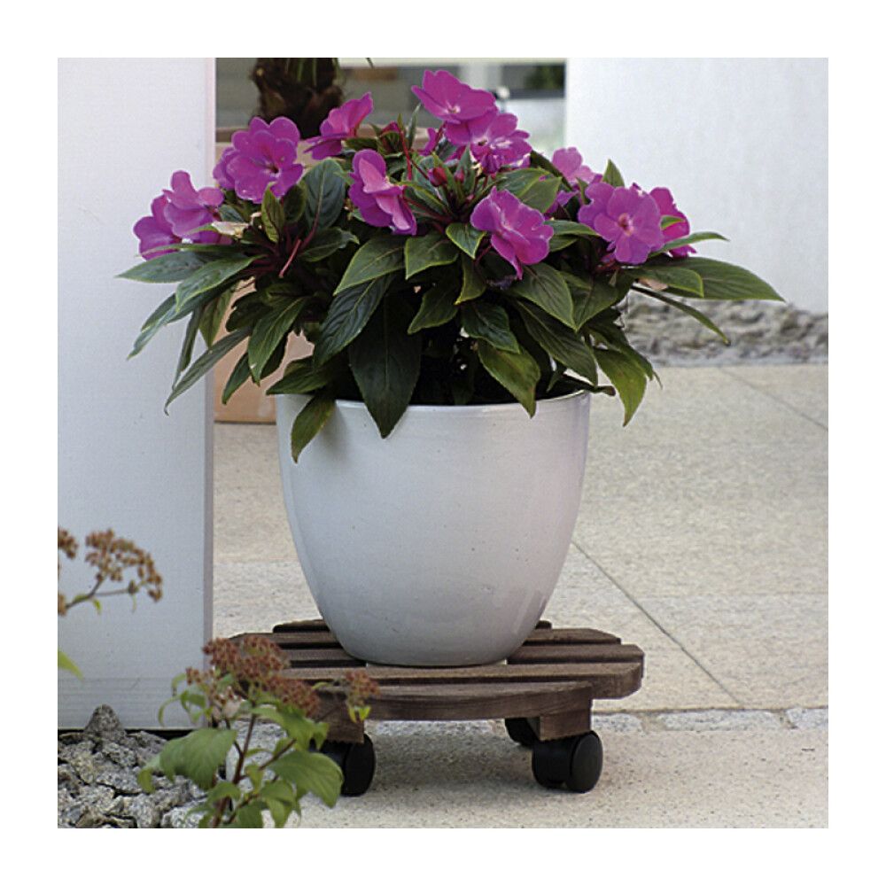 POTTETRALLE WAGNER ANDALUZ TRE 29CM
