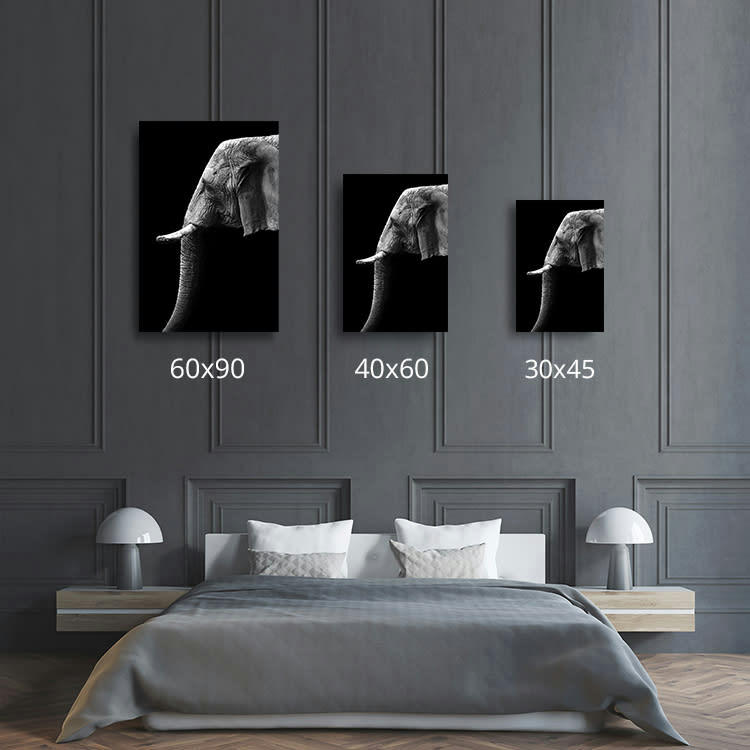 PROFIL D'UNE VÉTÉRANE - Photographie d'art de Guillaume Mordacq  60x90 cm sur plexi