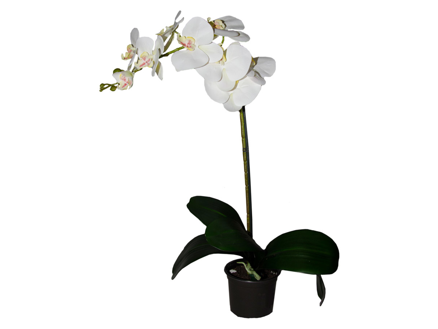 Sztuczny storczyk Premium w doniczce 80 cm biały