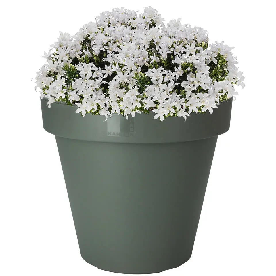 Pro Garden Bloempot - donkergroen - rond - D35 cm - kunststof