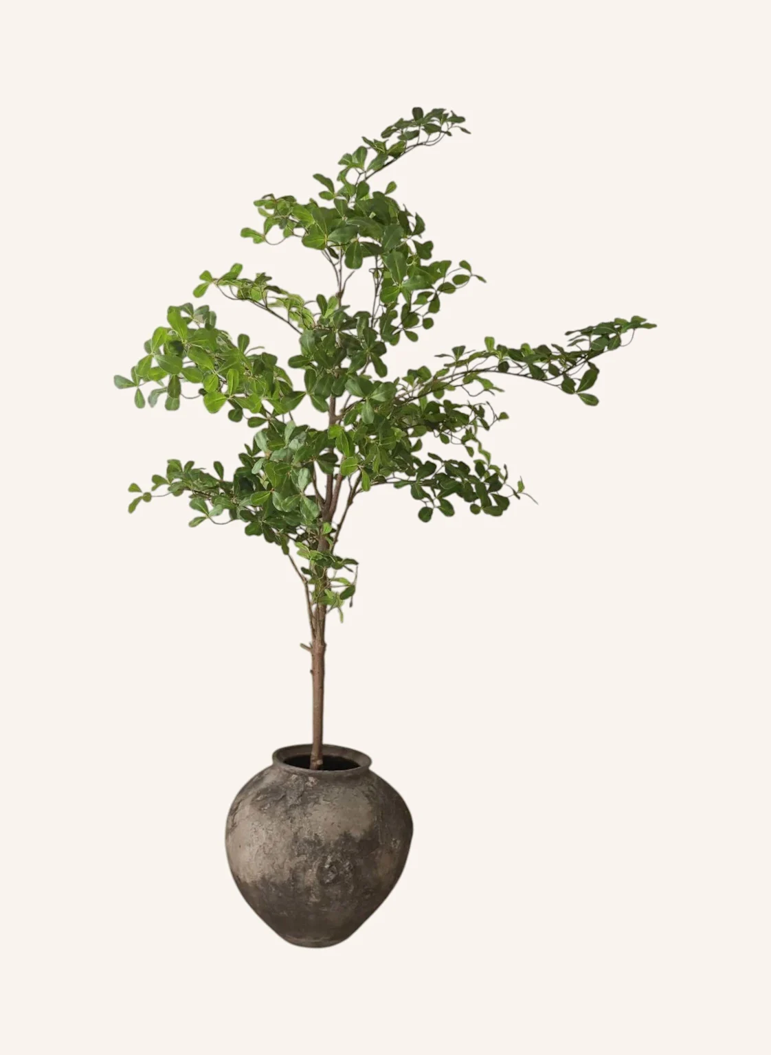 Botané Kunstbaum TROPICAL ALMOND