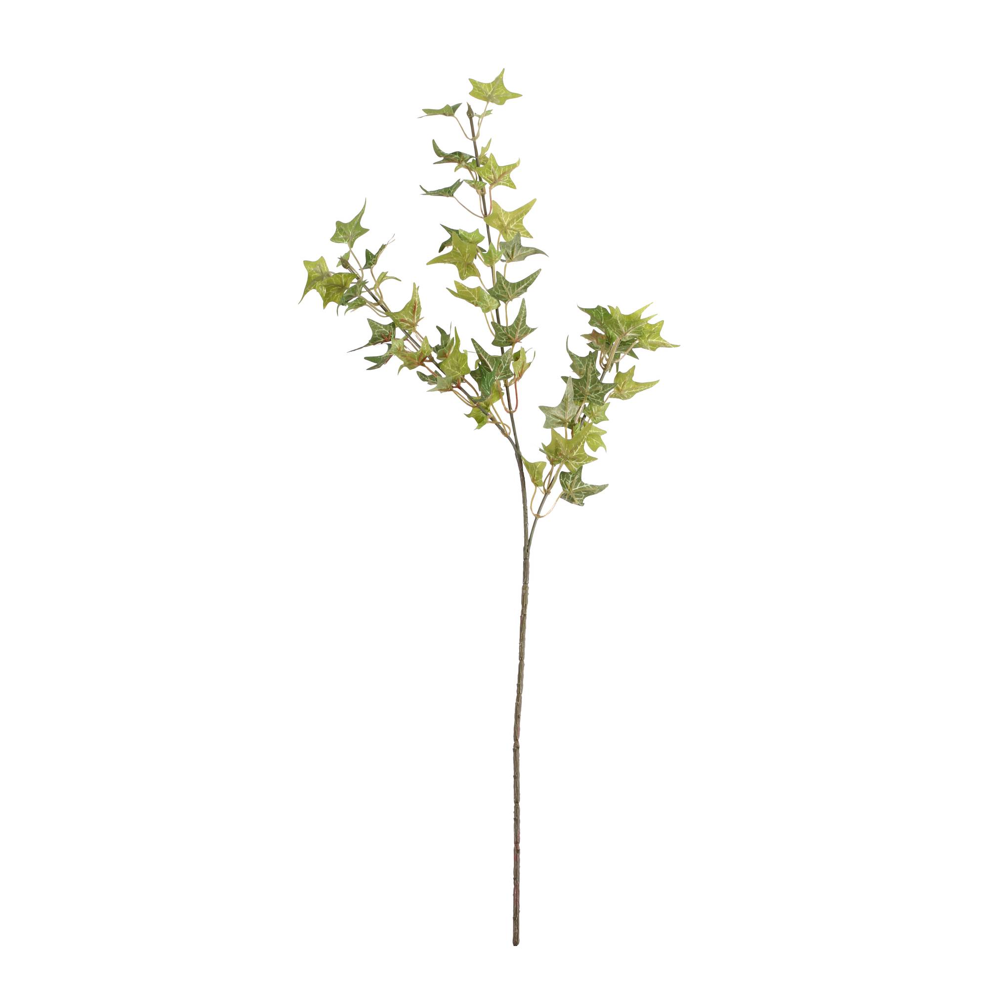 Mini Ivy Spray 69cm x 25cm