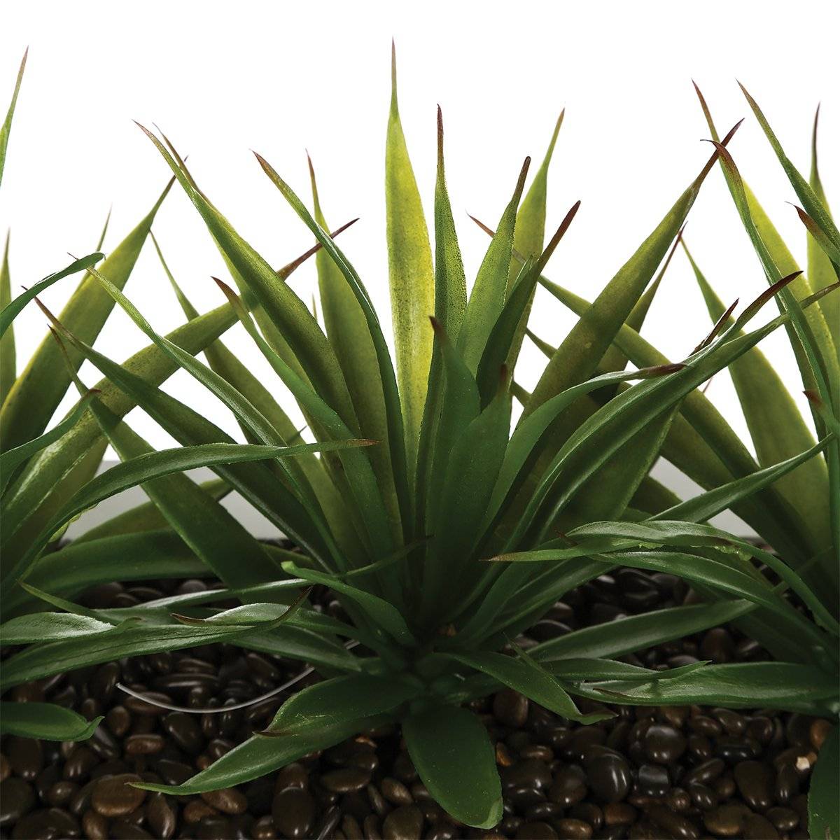 Centerpiece 3 artificial aloe vera White, H.17 cm