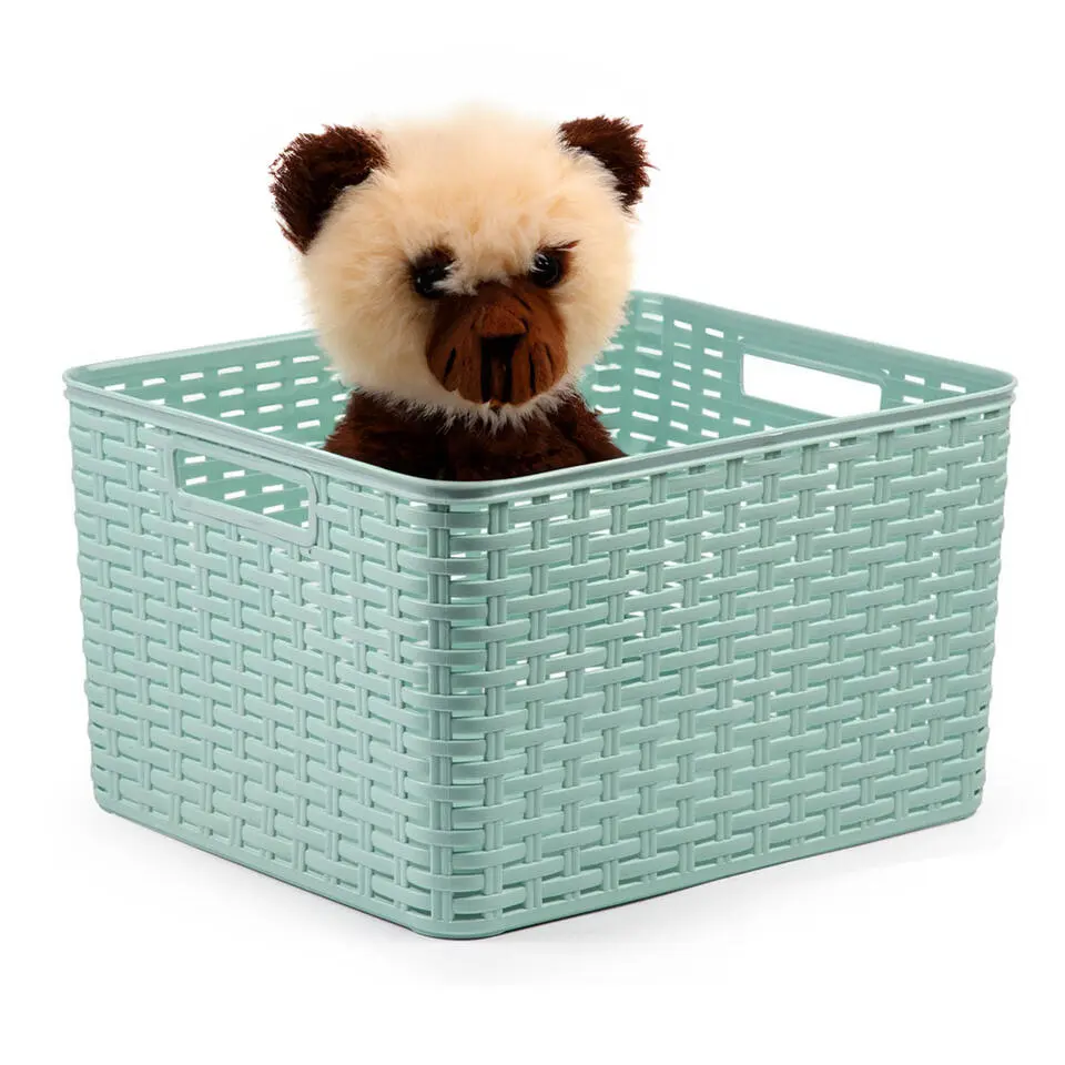 Plasticforte Opbergmand - Kastmand - kunststof - mintgroen - 28L