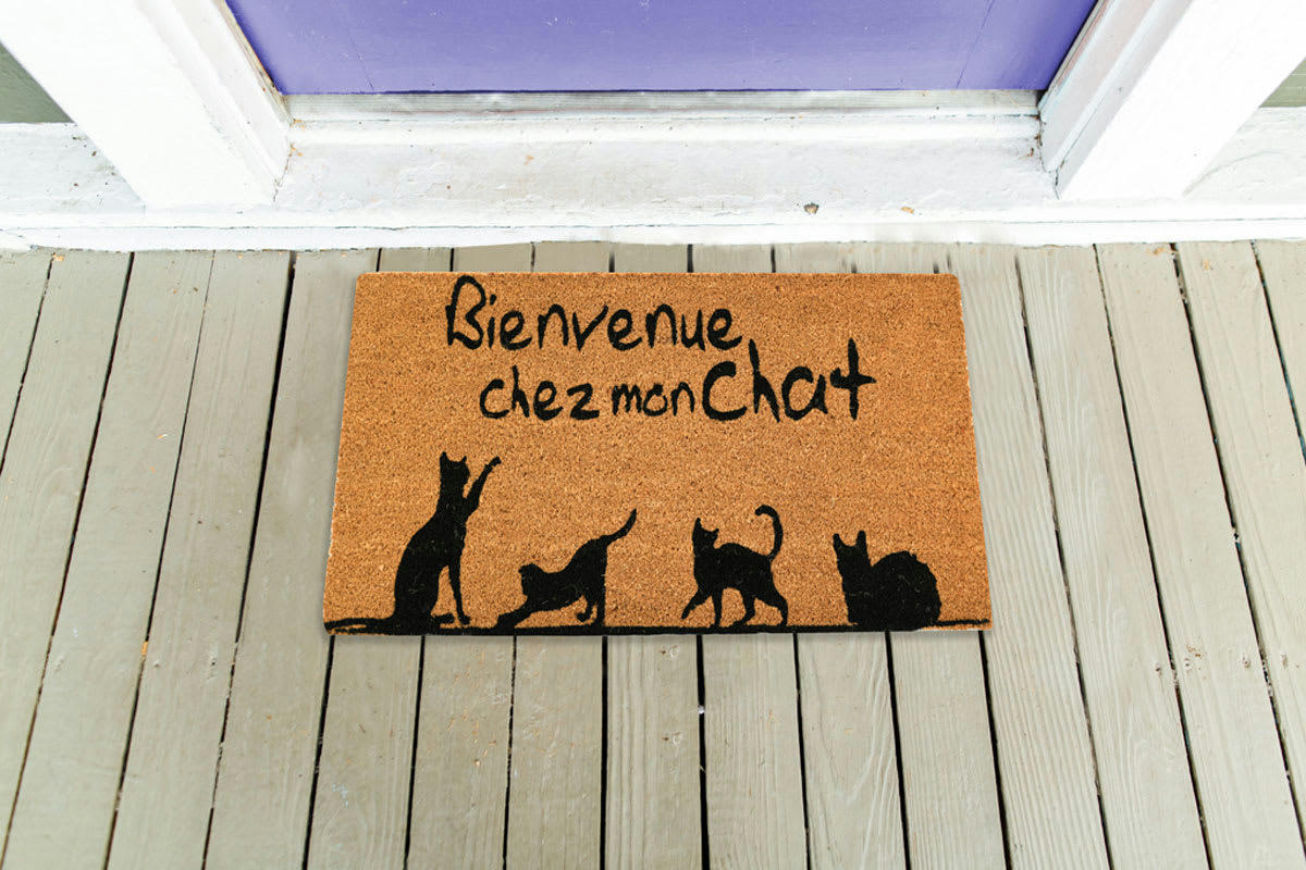 - Paillasson coco intérieur extérieur 75 x 45 cm bienvenue chez mon chat