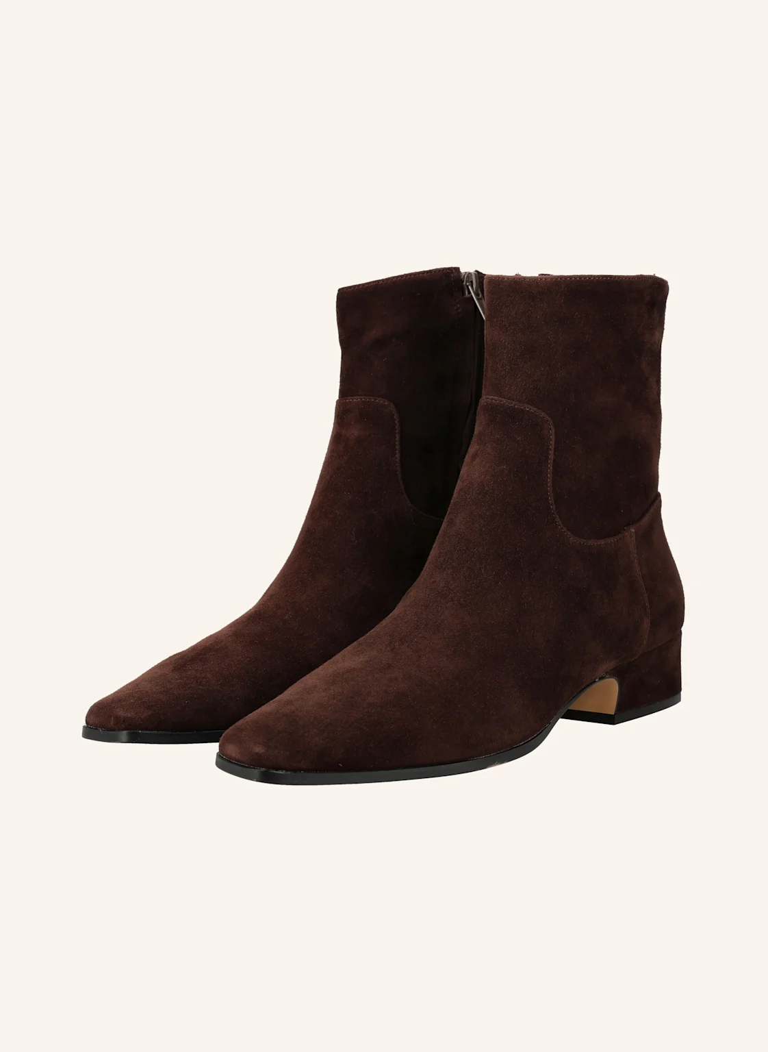 STEVE MADDEN Stiefeletten DUSTY