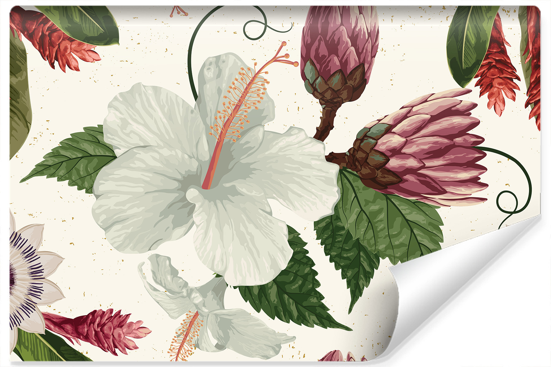 Fototapeta Do Salonu Biały HIBISKUS Kwiaty 90x60cm
