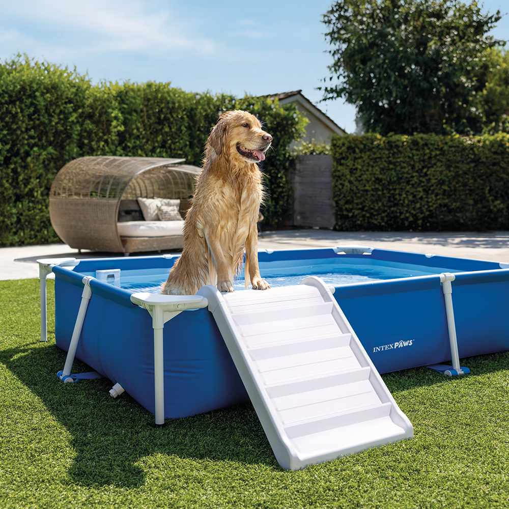 Kit piscine rectangulaire pour animaux