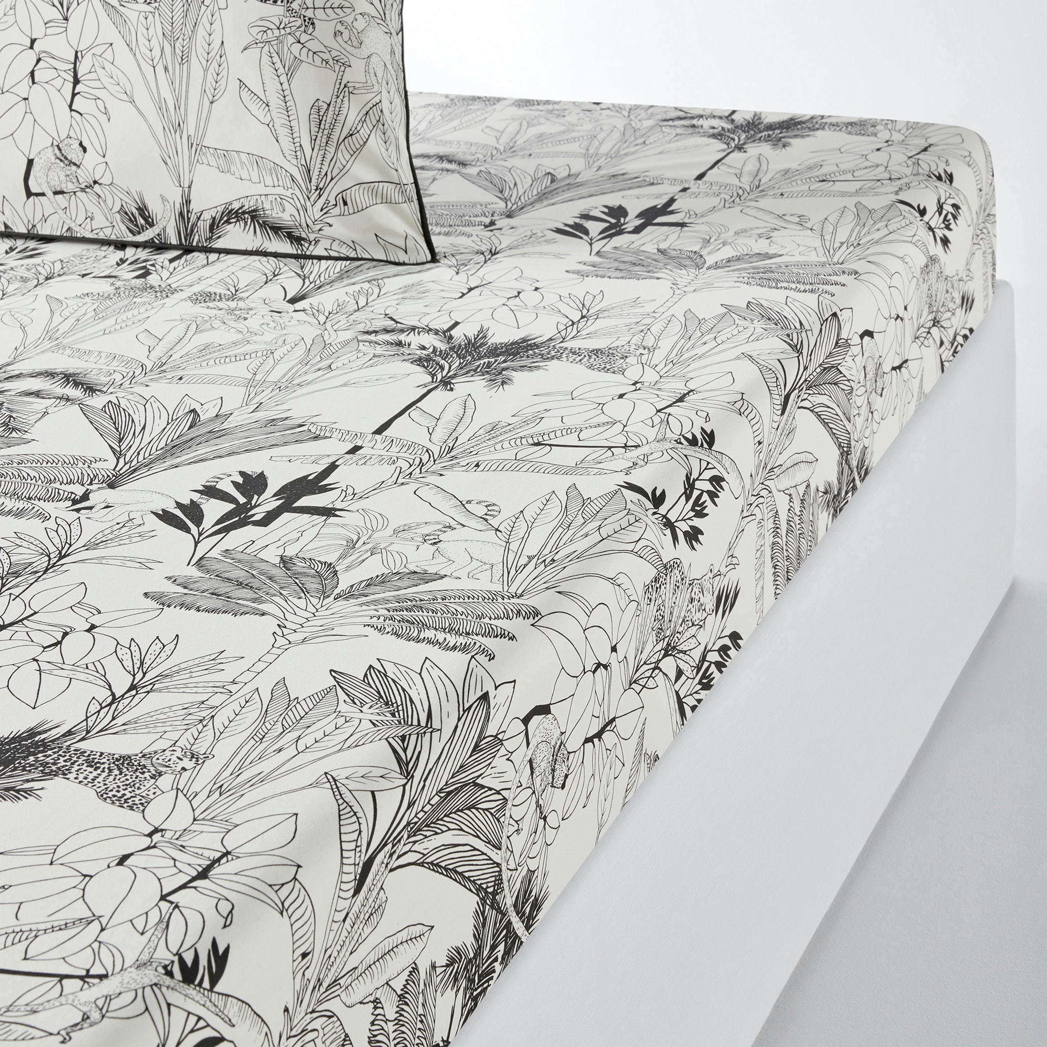 Drap housse percale coton bonnet 30 cm, Palmeira