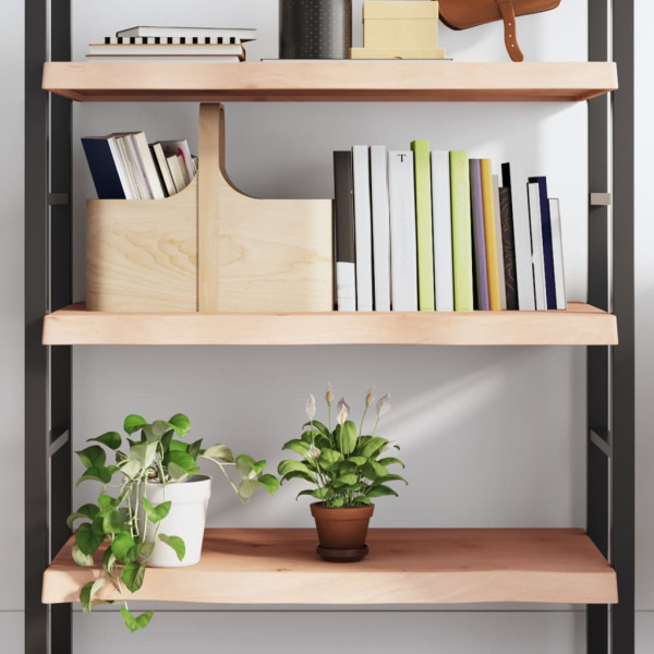 VidaXL Półka 80x50x(2-6) cm surowe
