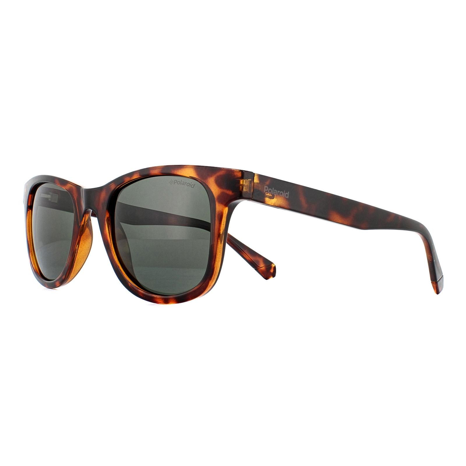 Polaroid Rectangle Dark Havana Green Polarized Sunglasses