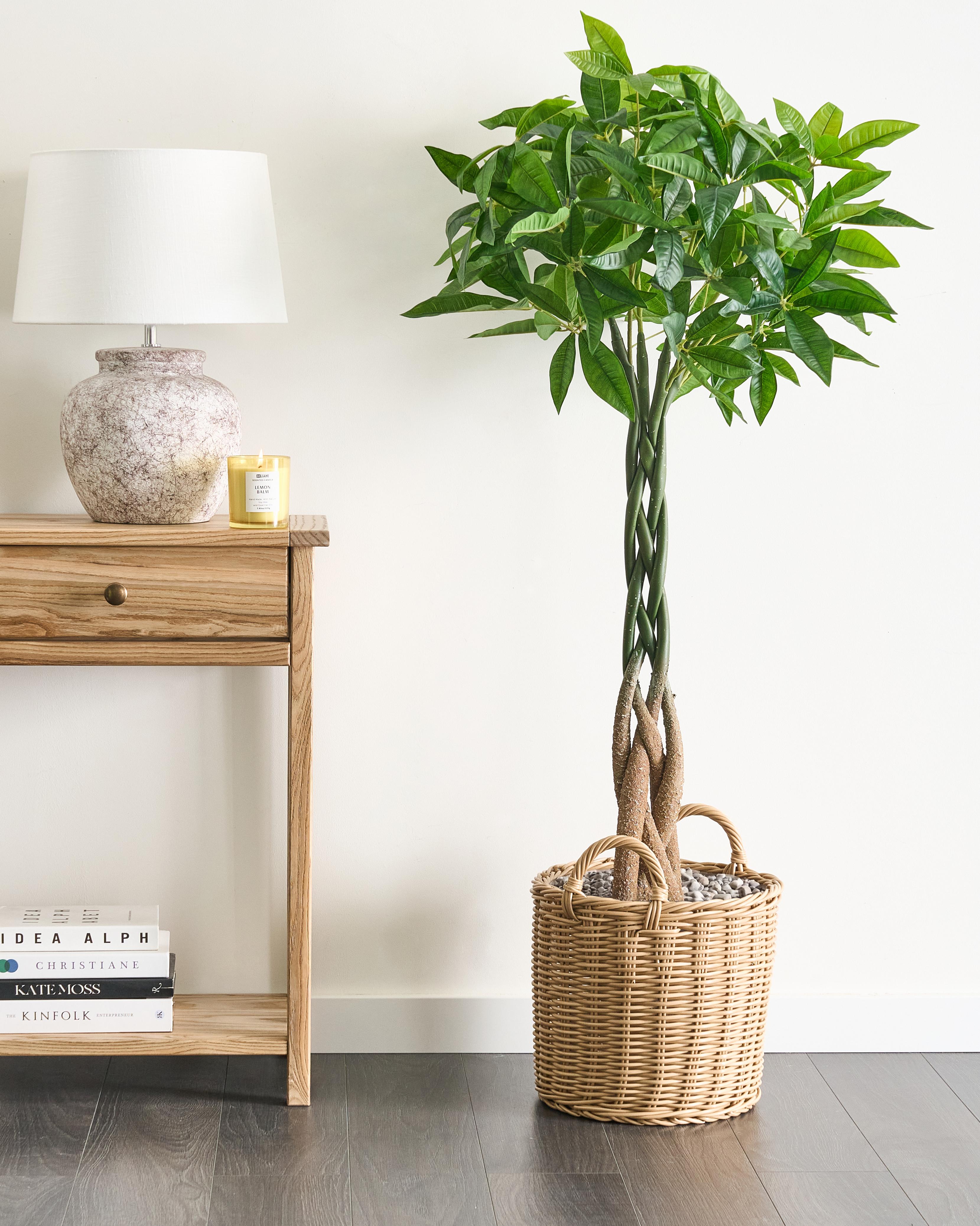 Artificial Plant PACHIRA TREE 120 cm Green