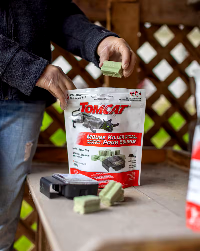 Tomcat Indoor/Outdoor Refillable Mouse Killer IV Bait Station, Child & Dog Resistant 8-pk