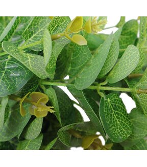 19 Eucalyptus Bush by Bloom Room