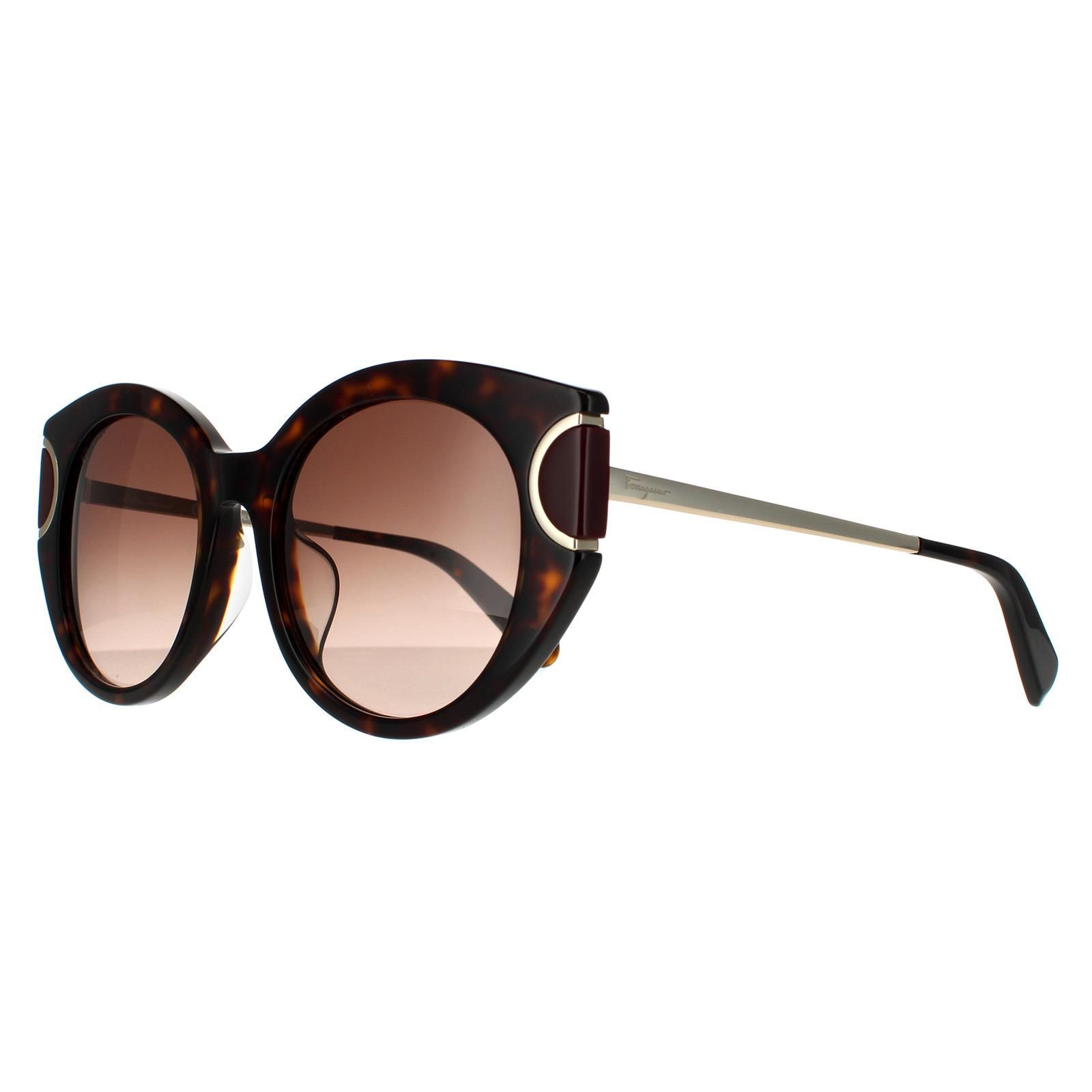 Salvatore Ferragamo Cat Eye Tortoise Brown Gradient Sunglasses