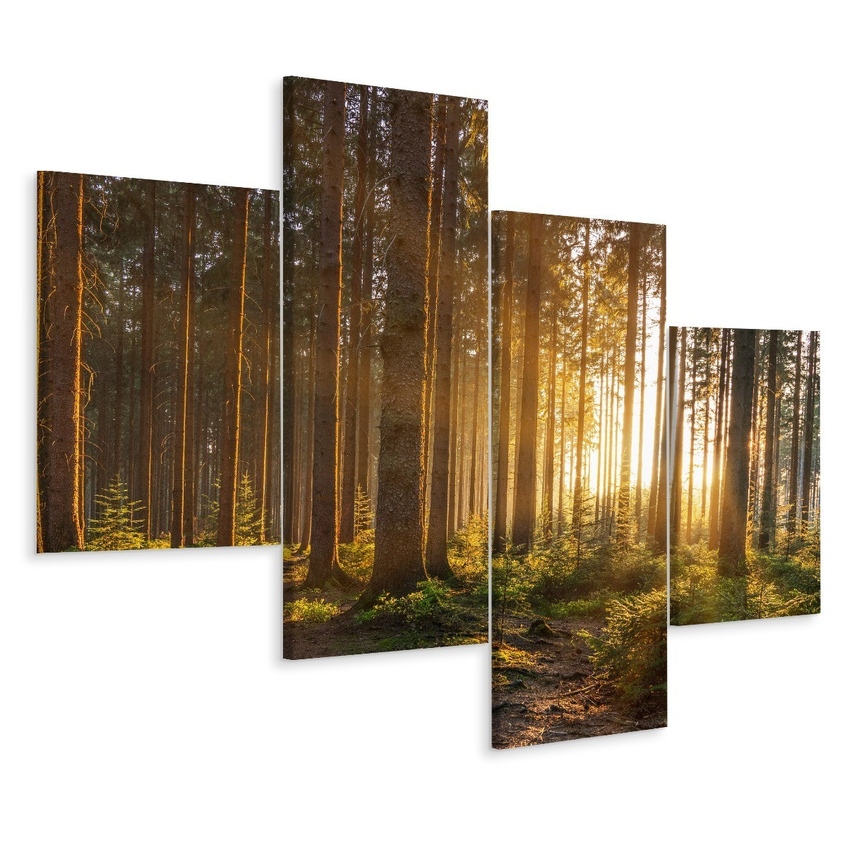 Obraz 4 Częściowy LEŚNY PEJZAŻ Słońce 3D 80x50cm