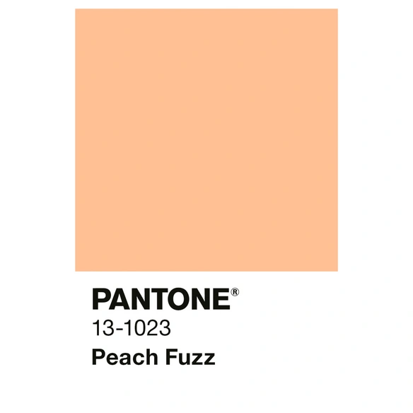 Wandfarbe »PANTONE«, Peach Fuzz, matt, 2,5 l