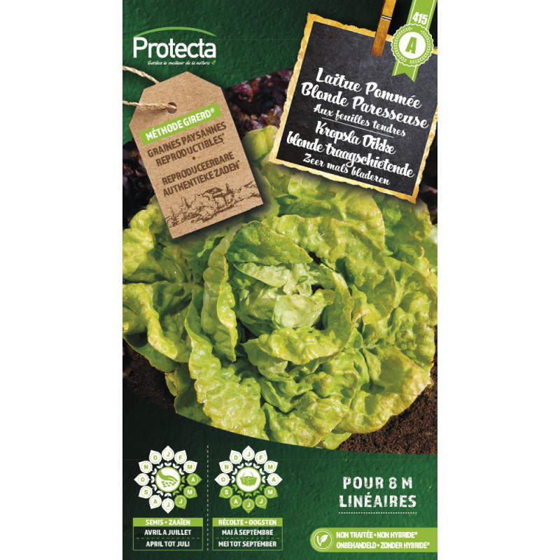 Semences de laitue Pommée Blonde Paresseuse PROTECTA