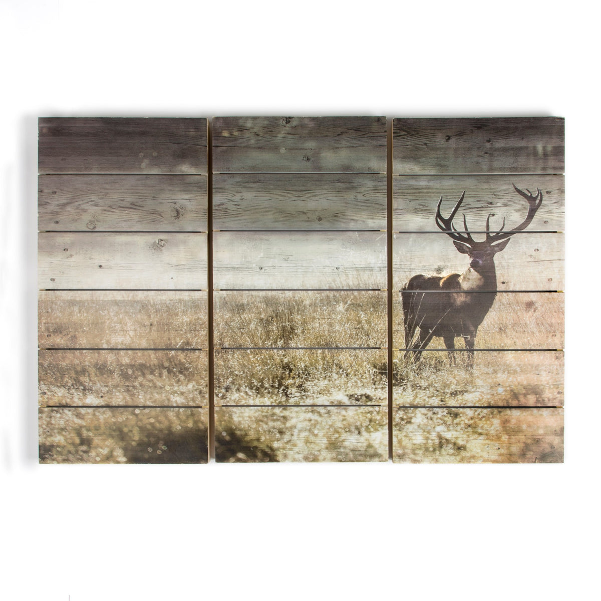 Art for the Home Print op Hout Set van 3 - Highland Hert - 60x90 cm
