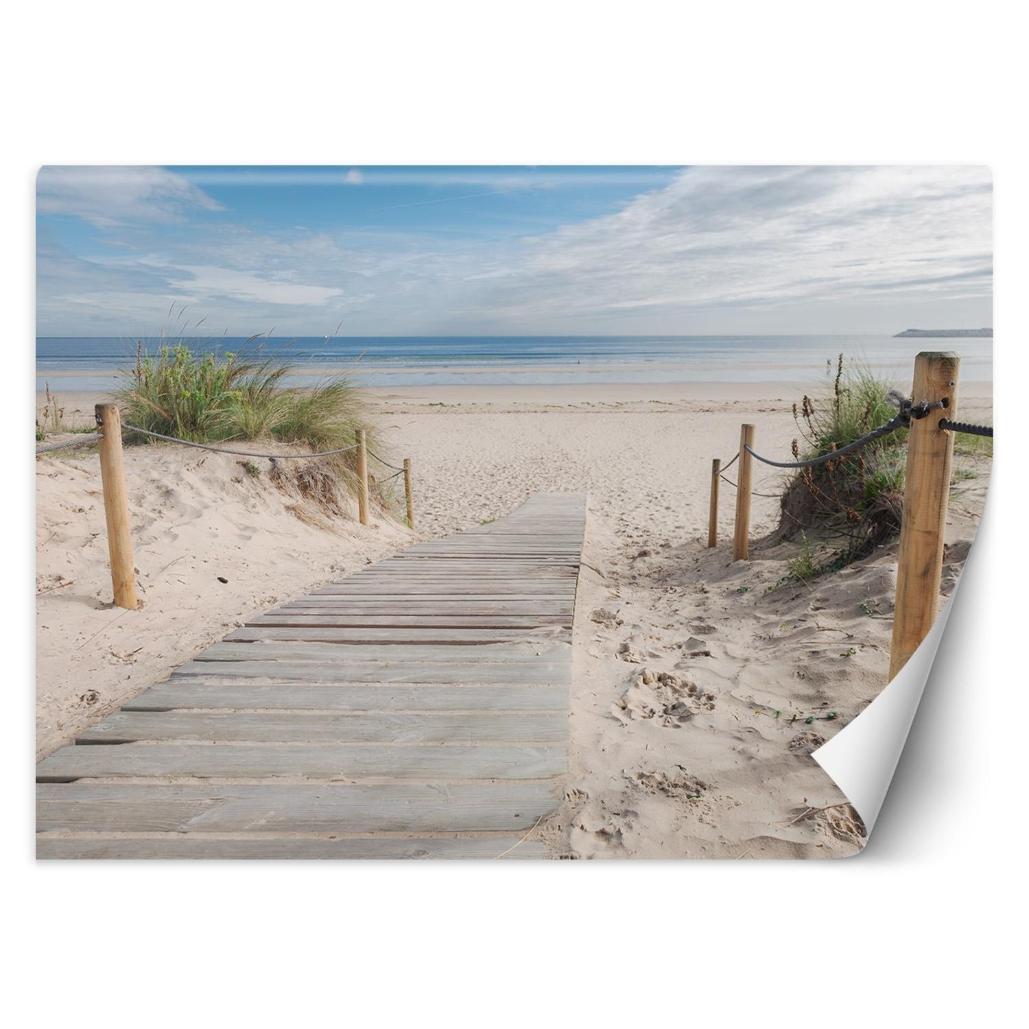 Feeby Fototapeta, Droga na plażę krajobraz 254x184