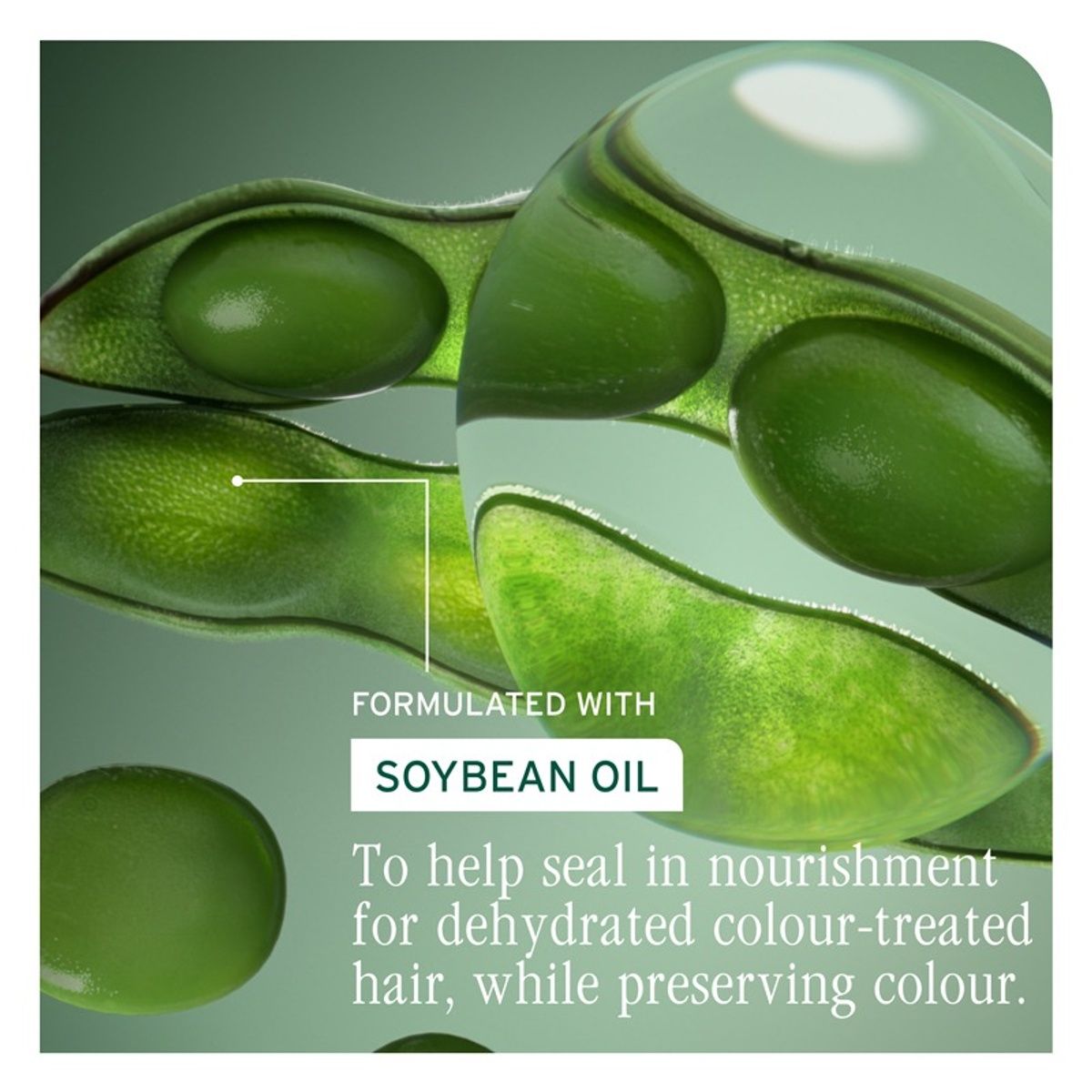 BIOLAGE Colorlast Shampoo