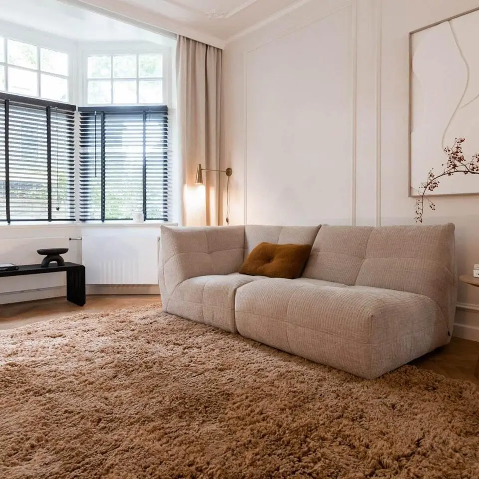 Interieur05 Hoogpolig Vloerkleed Polyester Pilo bruin - 150 x 80 cm