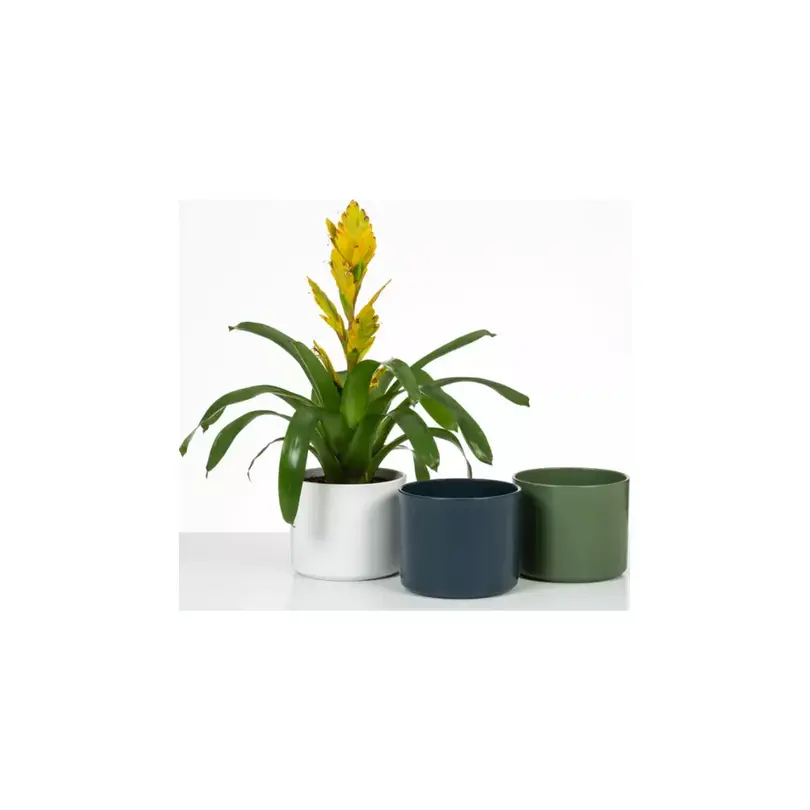 Blumentopf Scheurich
