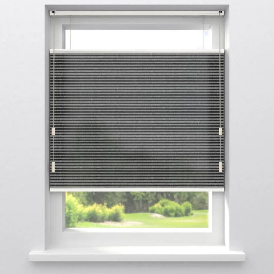 Kwantum Plisségordijnen | Fenstr Plisségordijn Raya  Lichtdoorlatend Antraciet