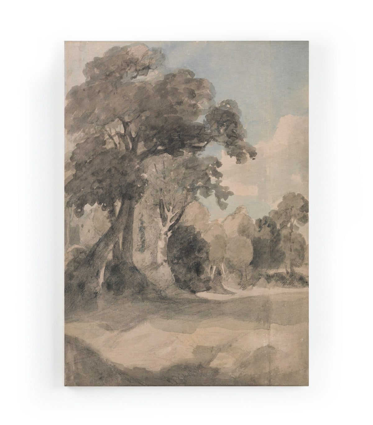 Canvas 60x40 Afdruk Bomen in Weide